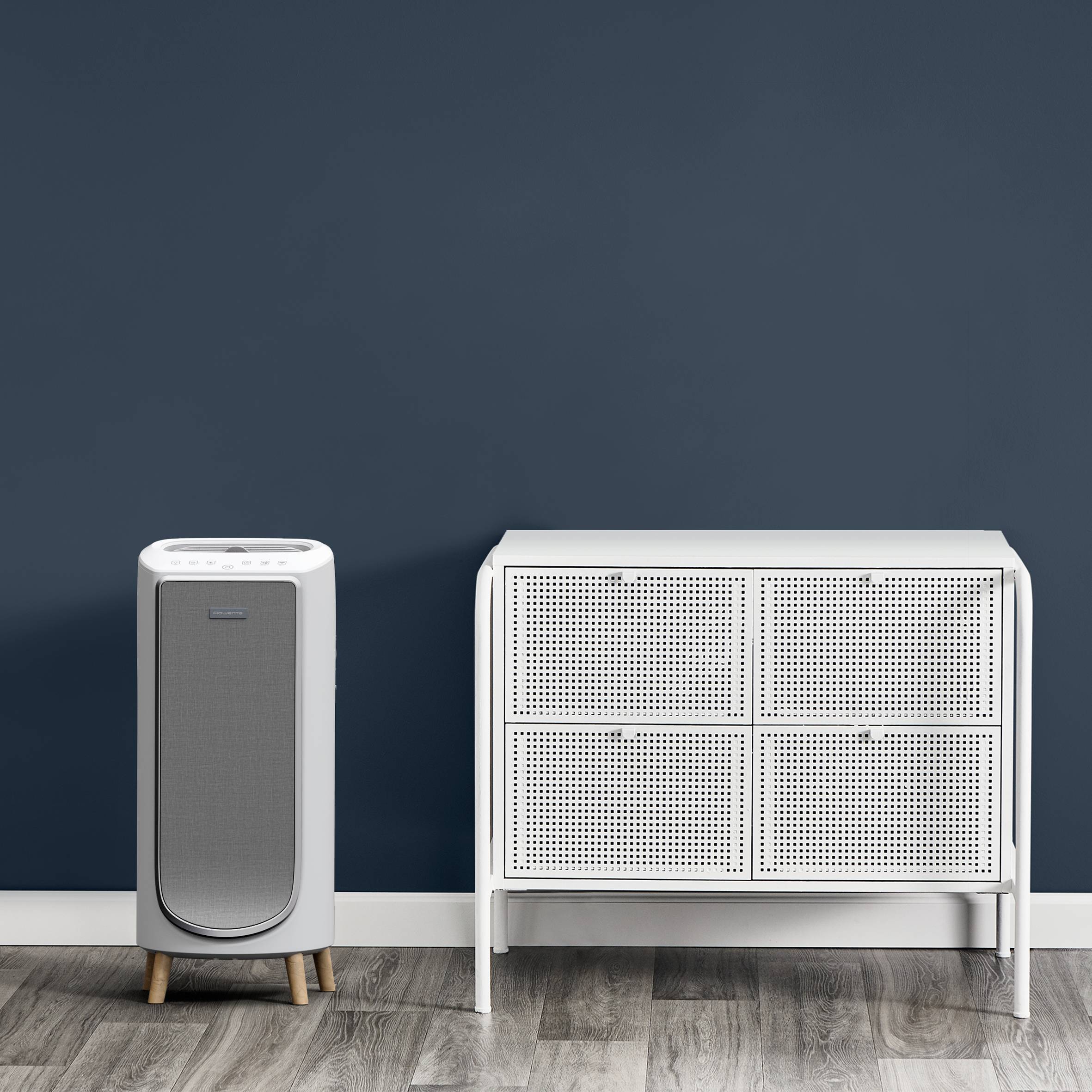 Intense Pure Air Home