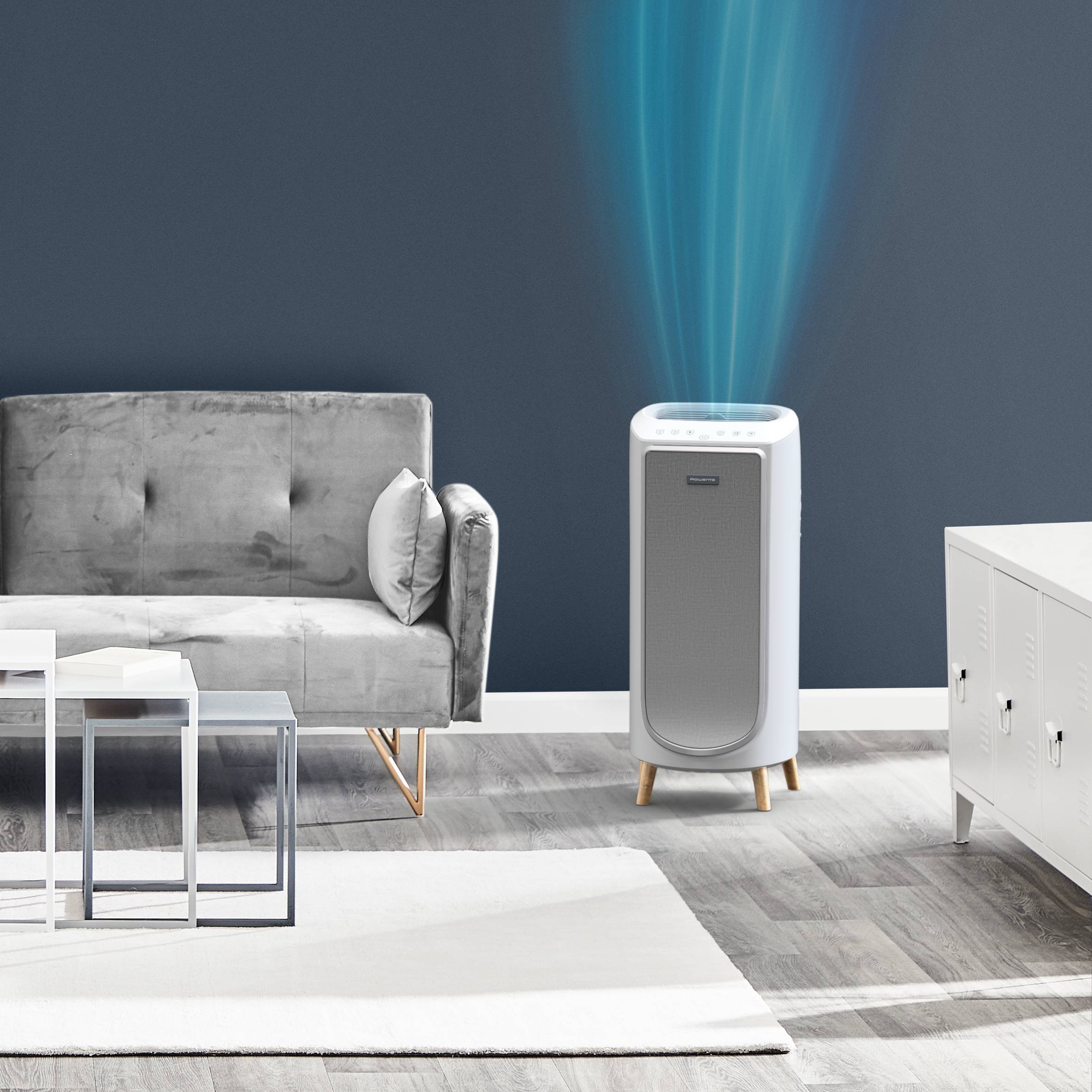 Intense Pure Air Home