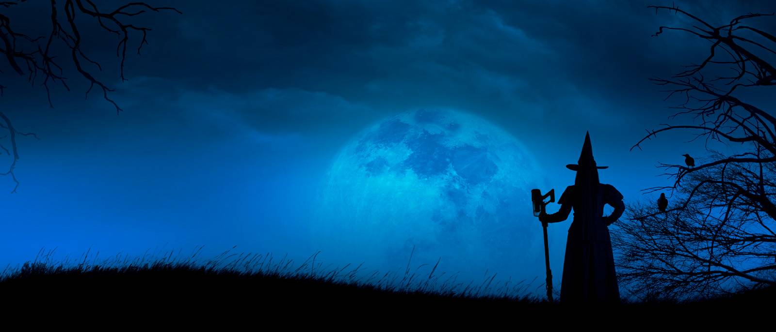 HALLOWEEN_ROWENTA_2025_TEASER-DESKTOP_1600x686-jpg.jpg