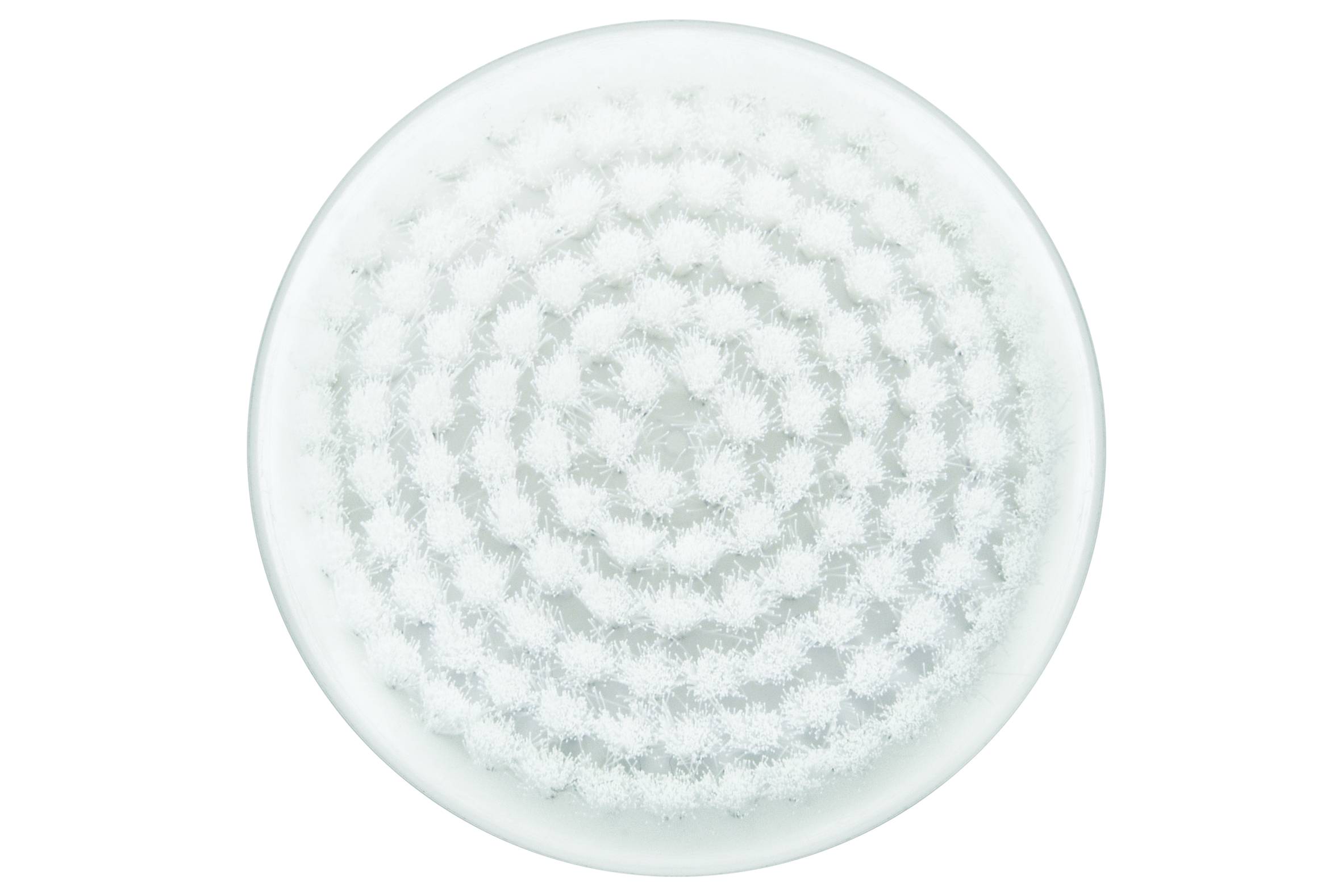 Escova facial esfoliante XD4110F0