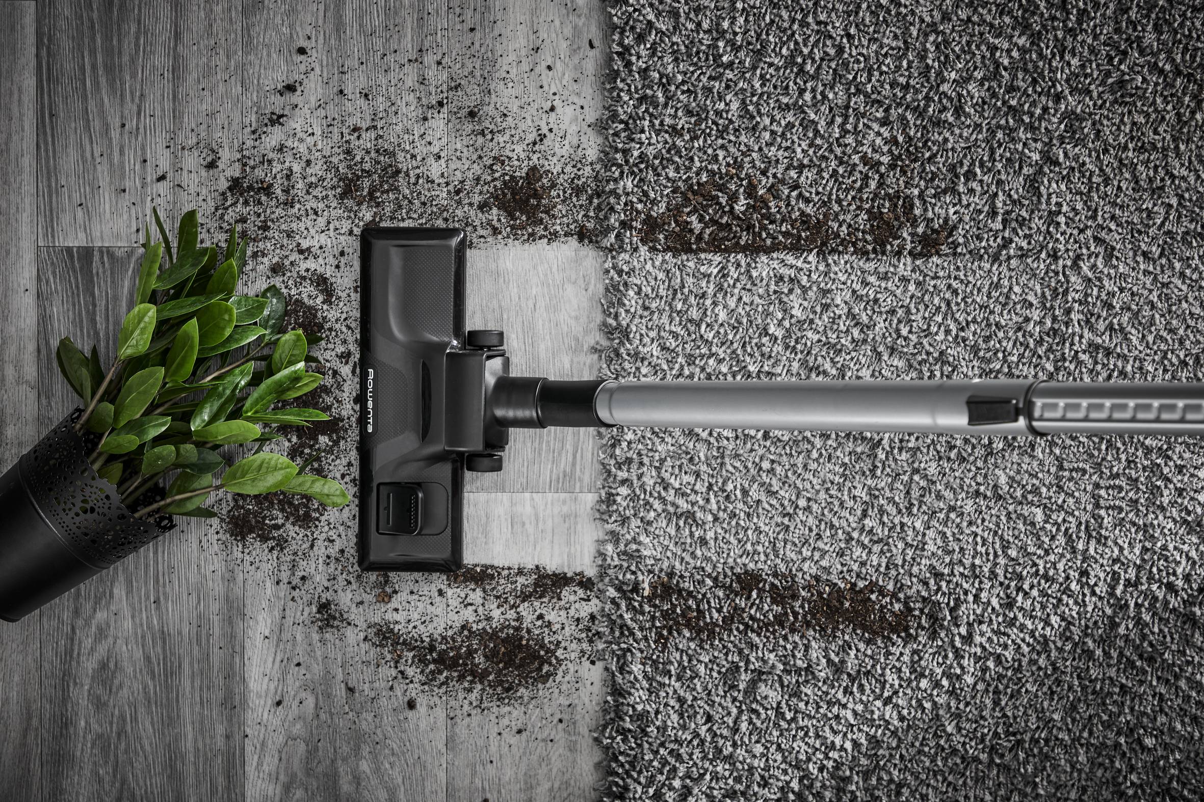 SILENCE FORCE ALLERGY +