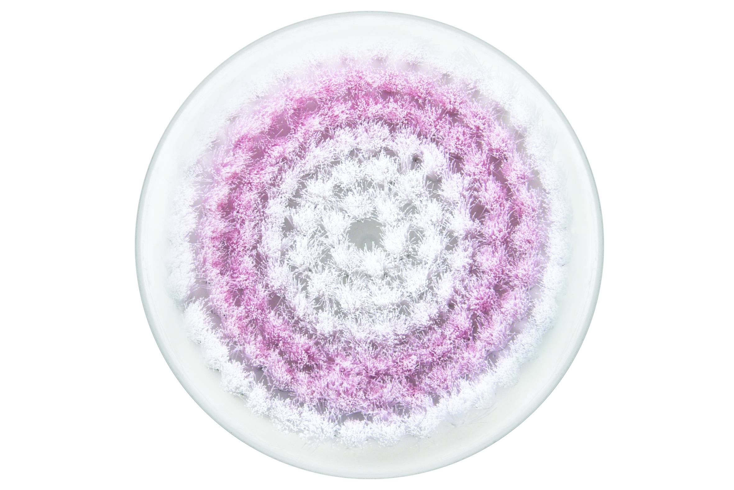 Escova para peles sensíveis XD4120F0