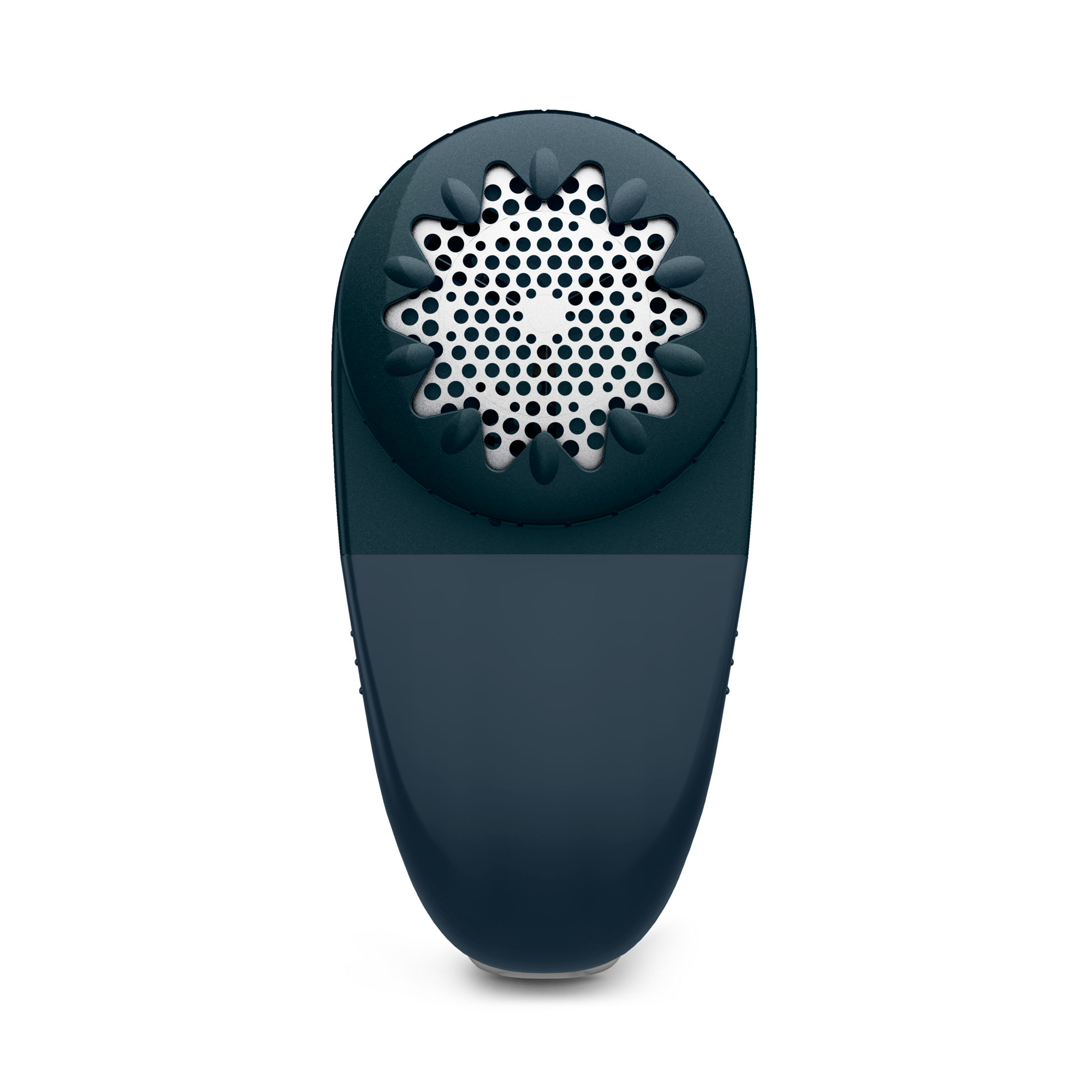 Removedor de Borbotos Recarregável