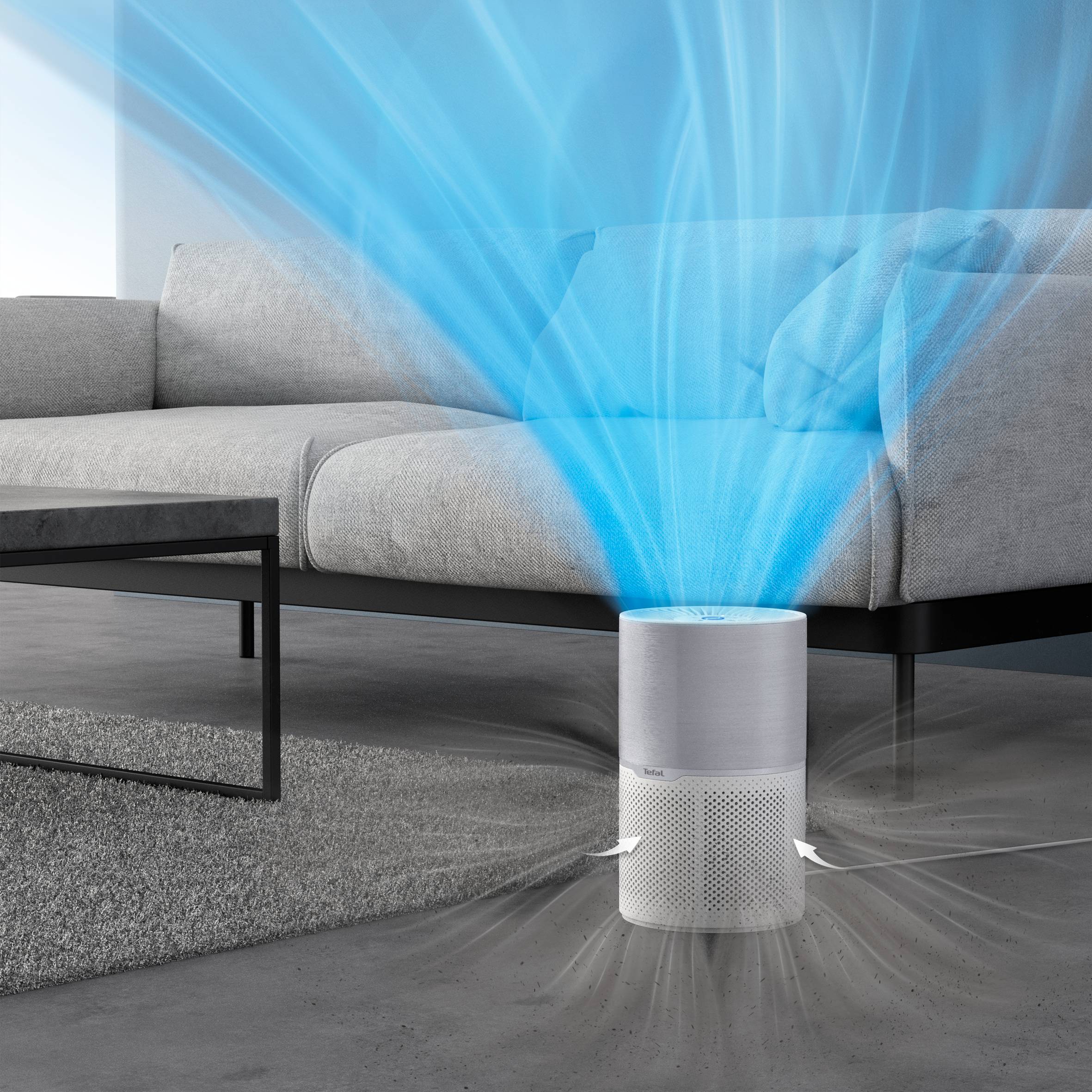 FILTRO 3IN1: PRÉ-FILTRO, CARVÃO ATIVO E HEPA ALLERGY+ XD6270F0